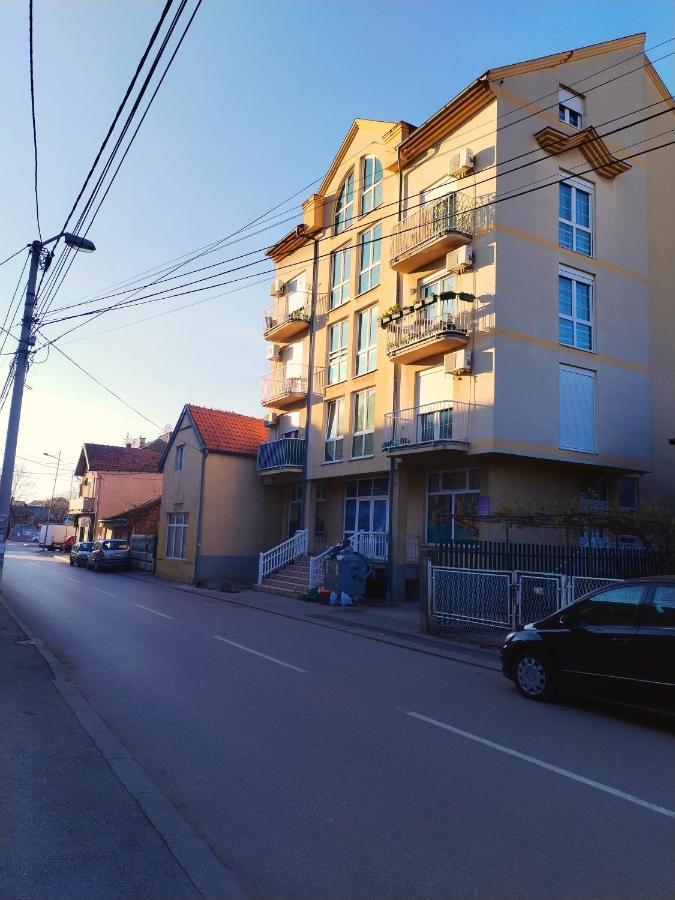 Apartman Centar Požarevac Dış mekan fotoğraf